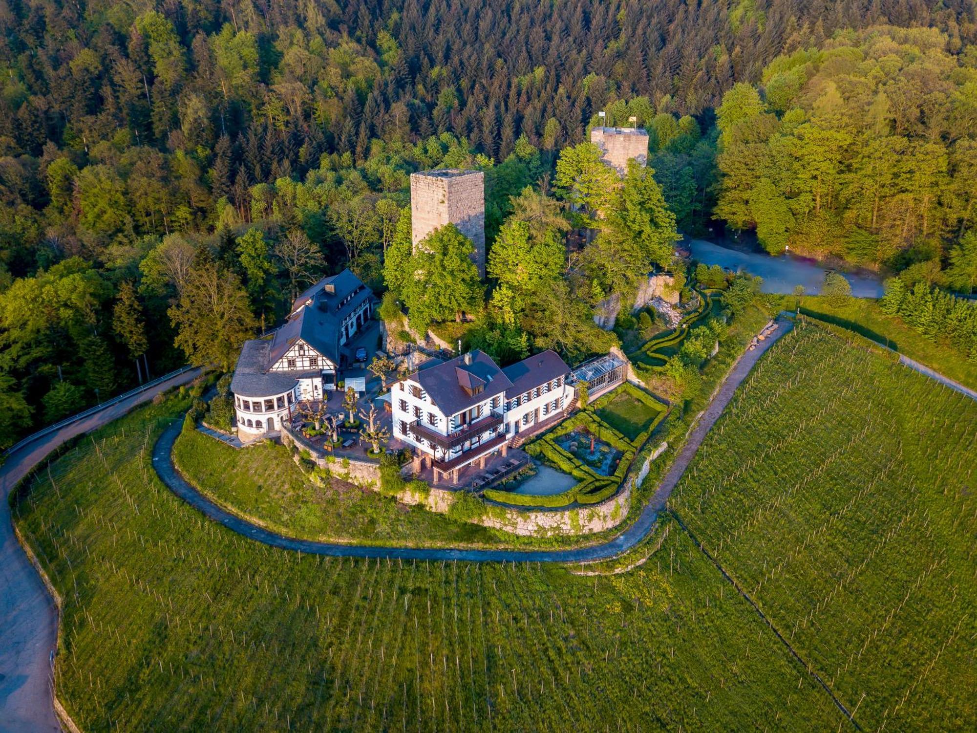 Burg Windeck ***S Hotel Bühl Екстериор снимка